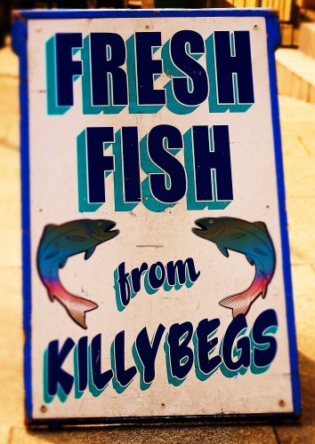 Killybegs Fish