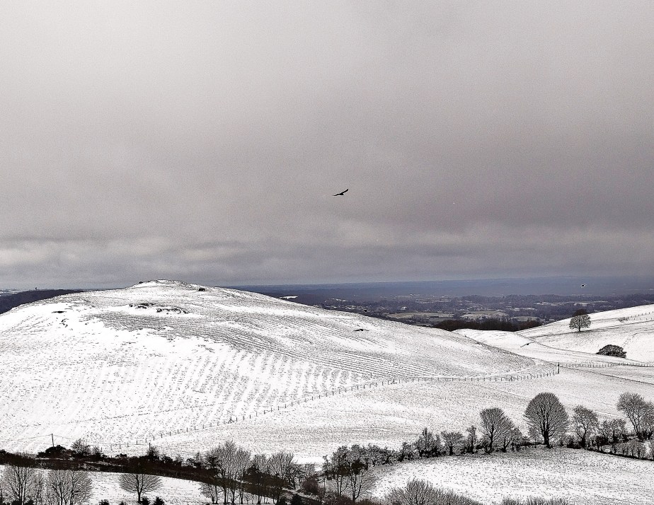 Loughcrew Hills